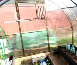 Гатчинские теплицы - вариант 4