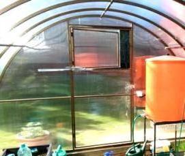 Гатчинские теплицы - вариант 3