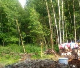 Газификация сельского дома - вариант 1