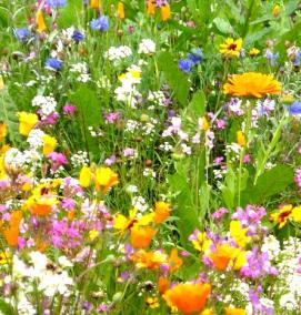 Газон - вариант 4