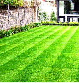 Газон полосами - модель 1