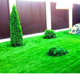 Газон полосами - модель 4