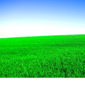 Газон - вариант 2