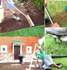 Газон вытесняющий сорняки - тип 4