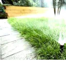 Газон вытесняющий сорняки - тип 3