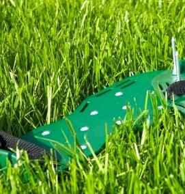 Газон вытесняющий сорняки - тип 2