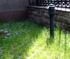 Газонная брусчатка - вариант 1