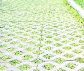 Газонная решетка 60х40 см - модель 3