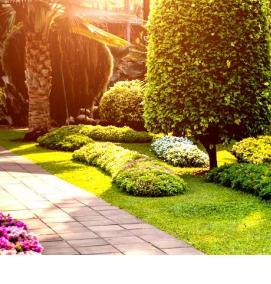 Газонное озеленение - модель 1