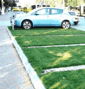 Газонное озеленение - модель 3