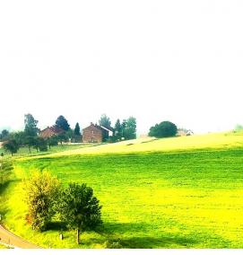 Геодезическое межевание - тип 4