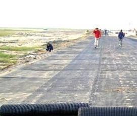 Геосетка для строительства - тип 3