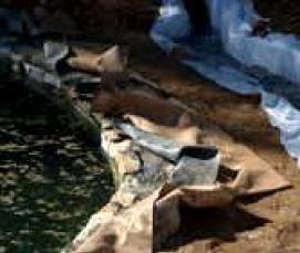 Геотекстиль для мульчирования - тип 1