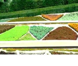 Геотекстиль для сада - вариант 1