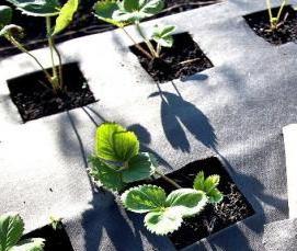 Геотекстиль Лутрасил - вариант 1