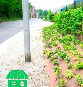 Геотекстиль от сорняков - вариант 4