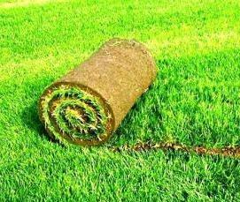 Геотекстиль под рулонный газон - вариант 4