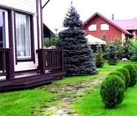 Геотекстиль под рулонный газон - вариант 2