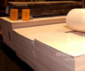 Гибкая фанера - вариант 1