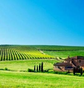 Городское межевание - вариант 2