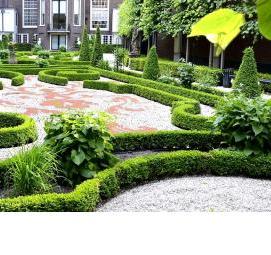 Городское озеленение - вариант 1