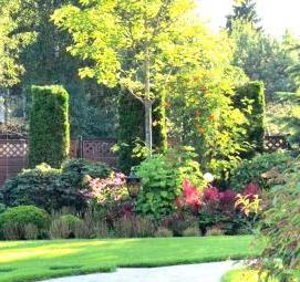 Городское озеленение - вариант 4