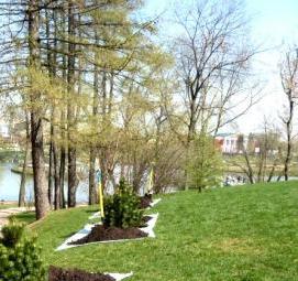 Городское озеленение - вариант 3