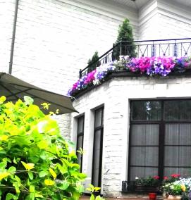 Горшечное озеленение - вариант 4