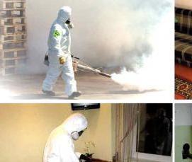 Горячая дезинфекция от клопов - модель 1