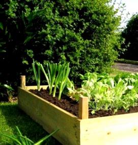 Готовые грядки для огорода - вариант 3