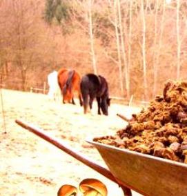 Готовый субстрат для шампиньонов - тип 1