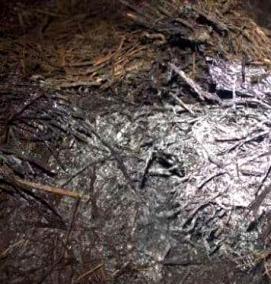 Готовый субстрат для шампиньонов - тип 2