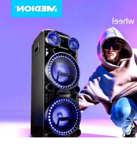 Громкоговоритель однопрограммный - тип 2