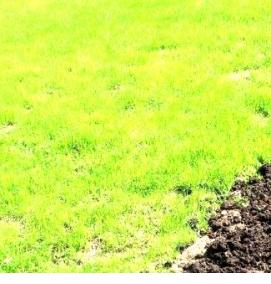 Грунт для грядок - модель 4