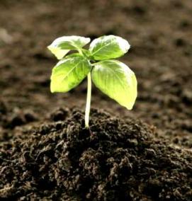 Грунт для грядок - модель 2