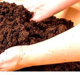 Грунт для рассады дыни - вариант 1