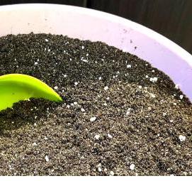 Грунт для рассады дыни - вариант 4