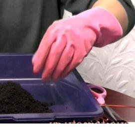 Грунт для рассады дыни - вариант 3