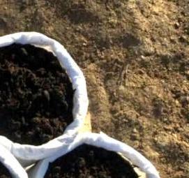 Грунт для рассады дыни - вариант 2