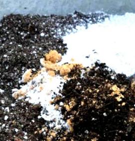 Грунт для рассады - тип 1