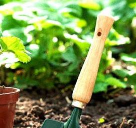 Грунт для рассады клубники - вариант 3