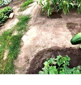 Грунт под огурцы - вариант 4