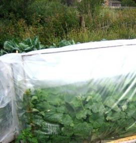 Грунт под огурцы - вариант 2