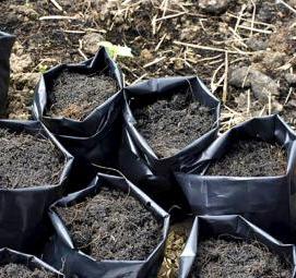 Грунт земля для рассады - модель 3