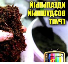 Грунт земля для рассады - модель 2