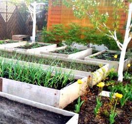 Грядки из цсп - тип 2