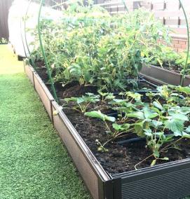 Грядки на подставках - тип 3