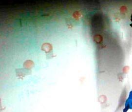 химическая дезинсекция - вариант 3