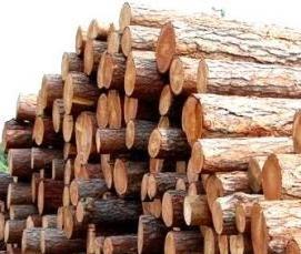 Имитация бруса кругляк - вариант 1