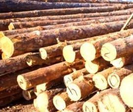 Имитация бруса кругляк - вариант 4